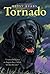 Tornado (Trophy Chapter Books by Betsy Byars