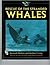 Rescue Of The Stranded Whales by Kenneth Mallory