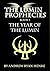 The Year of the Lumin (The Lumin Prophecies #1)