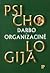 Darbo ir organizacinė psichologija by Nik Chmiel
