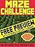 Minecraft Maze Challenge - ...