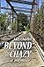 Beyond the Chazy