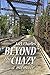 Beyond the Chazy by Jack  Charles