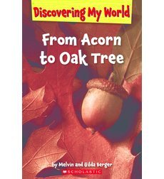From Acorn to Oak Tree (Discovering My World)