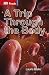 A Trip Through the Body (DK Readers Beginning To Read)
