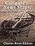 Caligula’s Nemi Ships: The History of the Roman Emperor’s Mysterious Luxury Boats