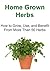 Home Grown Herbs: How to Grow, Use, and Benefit From More Than 50 Herbs: Herbs, Herbal Methods, Grow Herbs, Homegrown Herbs, Herbs Book