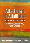 Attachment in Adu...
