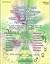 Astrology and Timing of Marriage: A Scientific Approach: A Group Research Based on over 200 Charts with Navamsha: Hindu Astrology Series