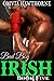 Bad Boy Irish: Book 5