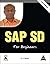 SAP SD for Beginners