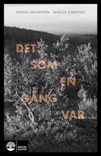 Det som en gång var (ebook)