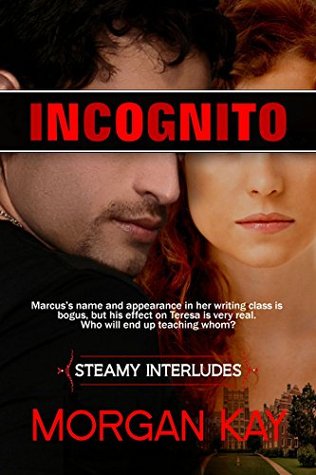 Incognito: Dating the Enemy (Steamy Interludes, #6)