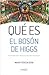 Qué es el Bosón de Higgs by María Teresa Dova