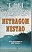 Netragom nestao (David Raker, #3)