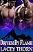 Driven by Flame (Demon Chronicles, Book Two)