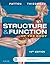 Structure & Function of the Body