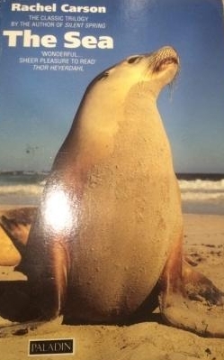 The Sea (Paperback)