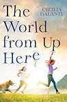 The World from Up Here