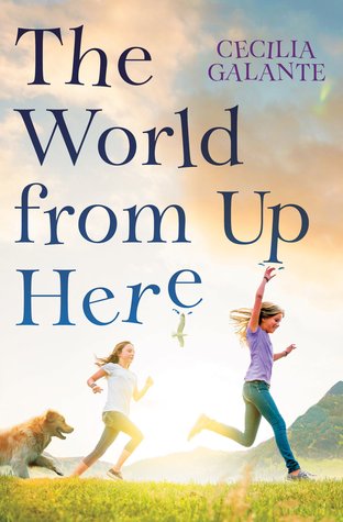 Capa do Livro The World from Up Here