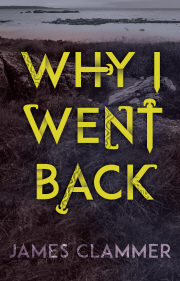Why I Went Back (Paperback)