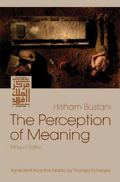 The Perception of Meaning (Middle East Literature In Translation)