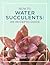 How to Water Succulents: An in-depth guide
