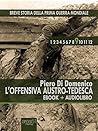 Breve storia della Prima Guerra Mondiale vol. 9 (ebook+audiolibro): L’offensiva austro-tedesca (Italian Edition)