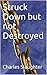 Struck Down but not Destroyed
