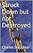 Struck Down but not Destroyed by Charles Slaughter