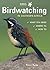 Birdwatching in Southern Af...