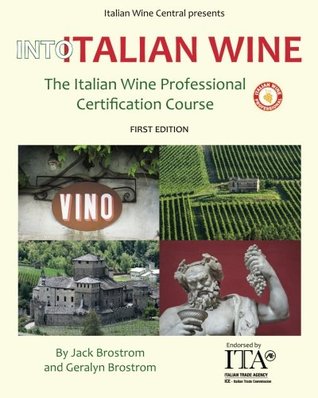 Into Italian Wine: The Italian Wine Professional Certification Course (Paperback)