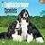 English Springer Spaniels 2016 Calendar by Browntrout Publishers
