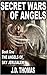 Secret War of Angels