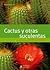 Cactus y otras suculentas (Jardin practico / Practical Garden) (Spanish Edition)