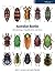 Australian Beetles Volume 1: Morphology, Classification and Keys (Australian Beetles Series)