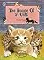 House Of 14 Cats