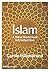 Islam A New Historical Introduction /anglais