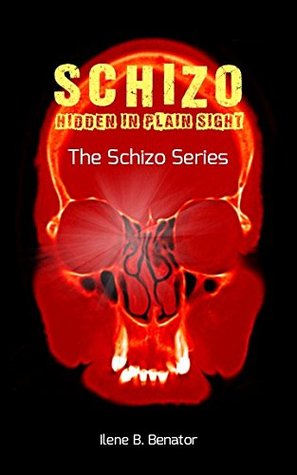 Schizo: Hidden in Plain Sight (Paperback)