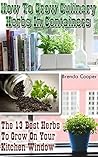 How To Grow Culinary Herbs In Containers by Brenda   Cooper