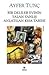 Bir Deliler Evinin Yalan Yanlış Anlatılan Kısa Tarihi by Ayfer Tunç Bir Deliler Evinin Yalan Yanlış Anlatılan Kısa Tarihi by Ayfer Tunç