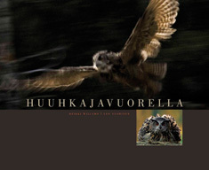Huuhkajavuorella