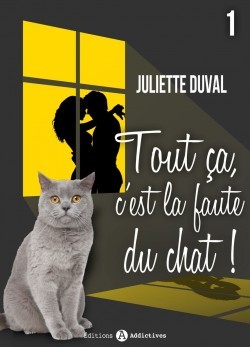 Tout ça, c'est la faute du chat ! Tome 1