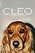 CLEO