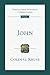 John (Tyndale New Testament Commentaries Book 4)