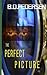 The Perfect Picture by B.D. Pedersen