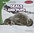 Seals and Pups (An Animal Family, 5)