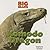 Komodo Dragon (Big Beasts)
