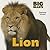 Lion (Big Beasts)