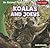 Koalas and Joeys (An Animal Family, 3)